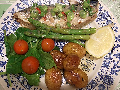 aoifes-fish aoifes-fish