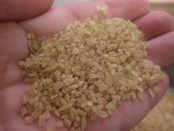 bulgar-wheat-small