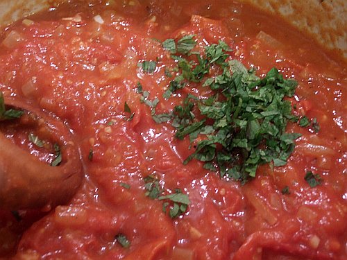 sauce-with-mint