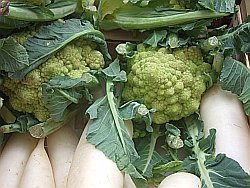 weird-cauliflower