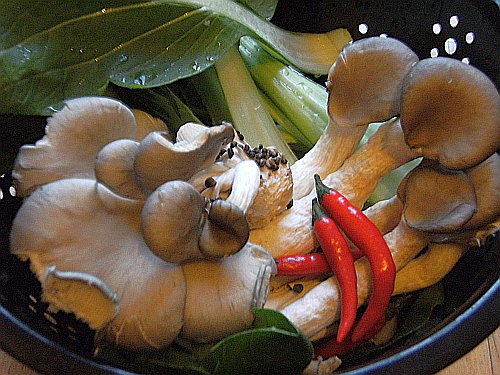 mushrooms pak choi and chilli