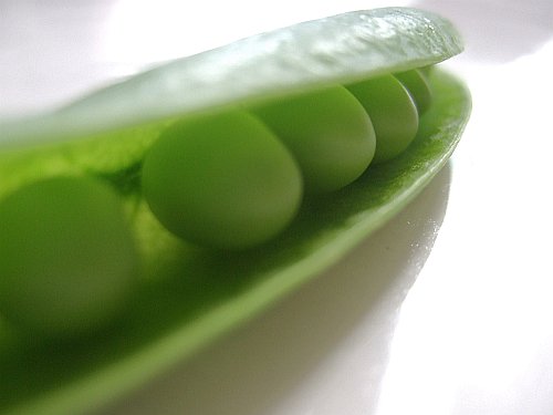 peas-in-the-pod-one