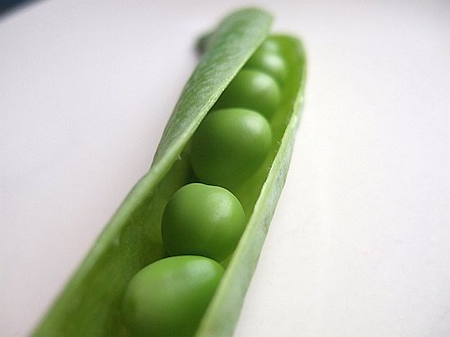peas-in-the-pod-two peas-in-the-pod-two