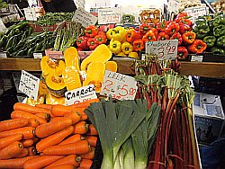 carrots leeks squash