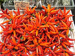 chilli stars