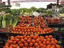 tomatoes and fennel