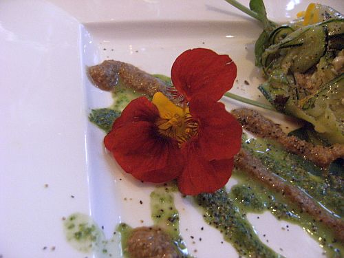 courgette flower