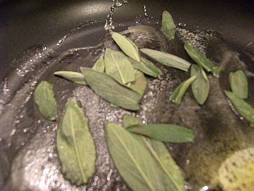sage frying sage frying