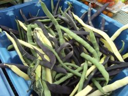 veg market beans