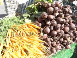 veg market beets