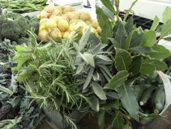 veg market herbs