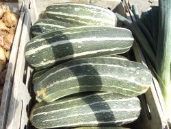 veg market marrows