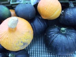 veg market pumpkins
