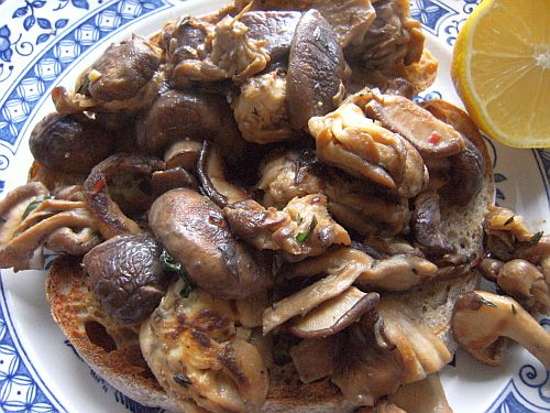 mushrooms on toast from above