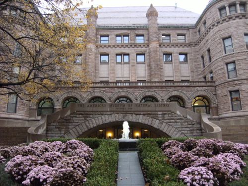 natural history museum outside