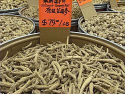 ginseng in bucket