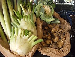 fennel