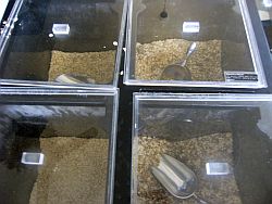 muesli