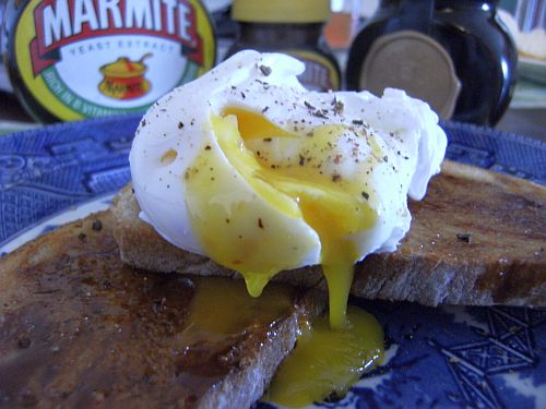 egg with jars in back