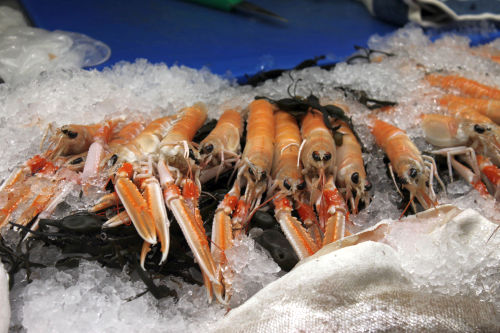 dublin bay prawns small