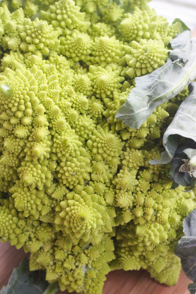 Romanesco Broccoli