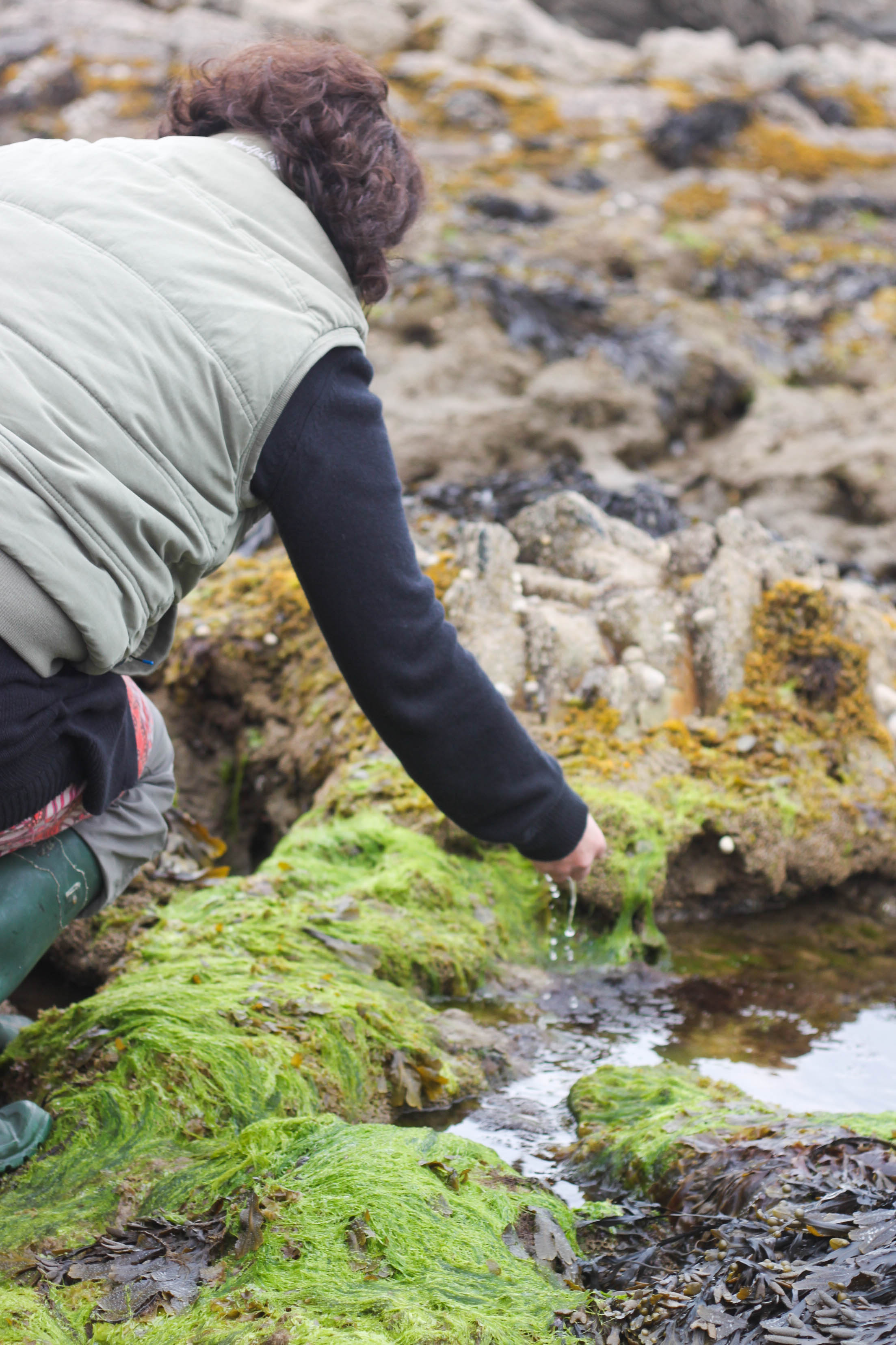 Inishfood 2012-45
