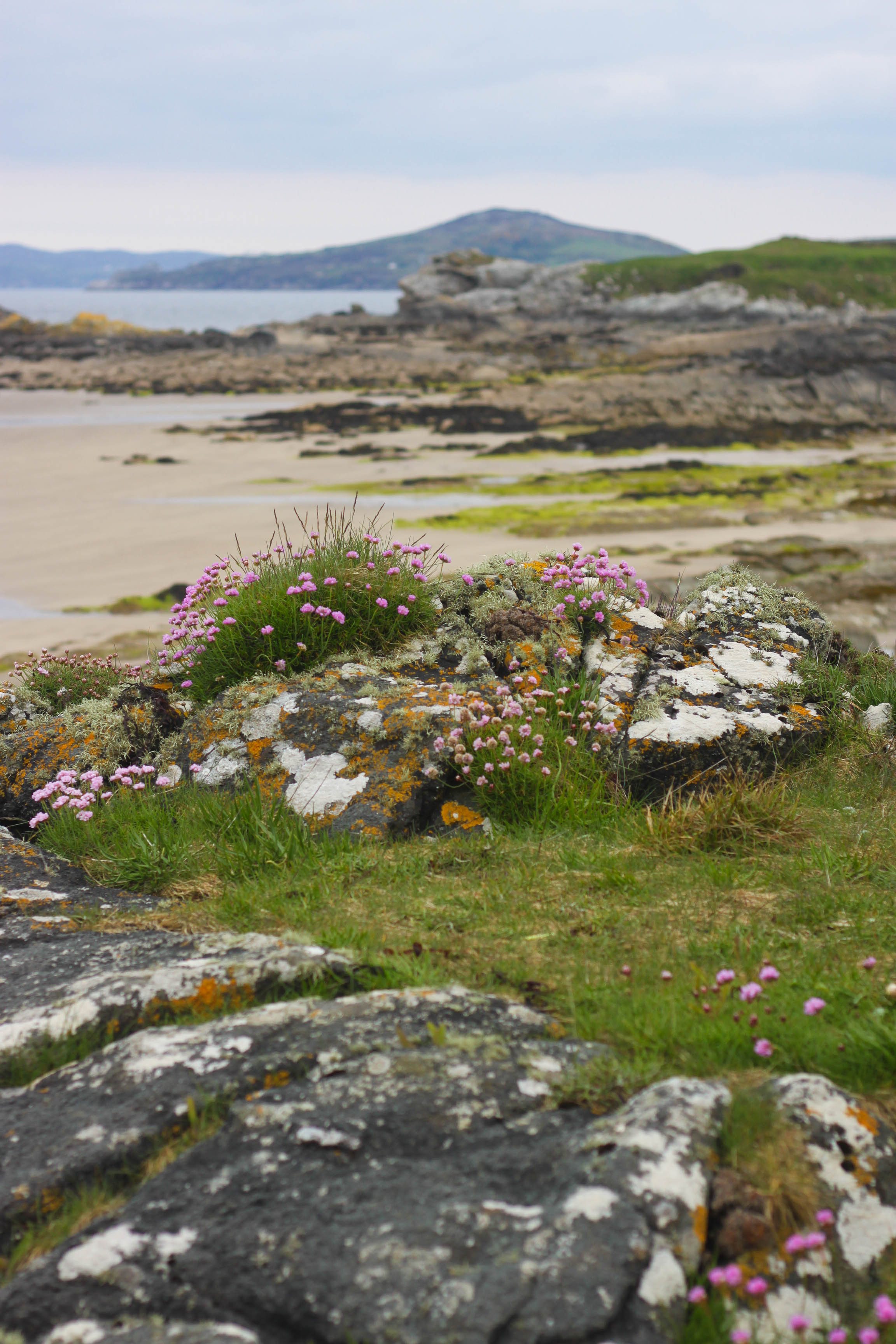 Inishfood 2012-51
