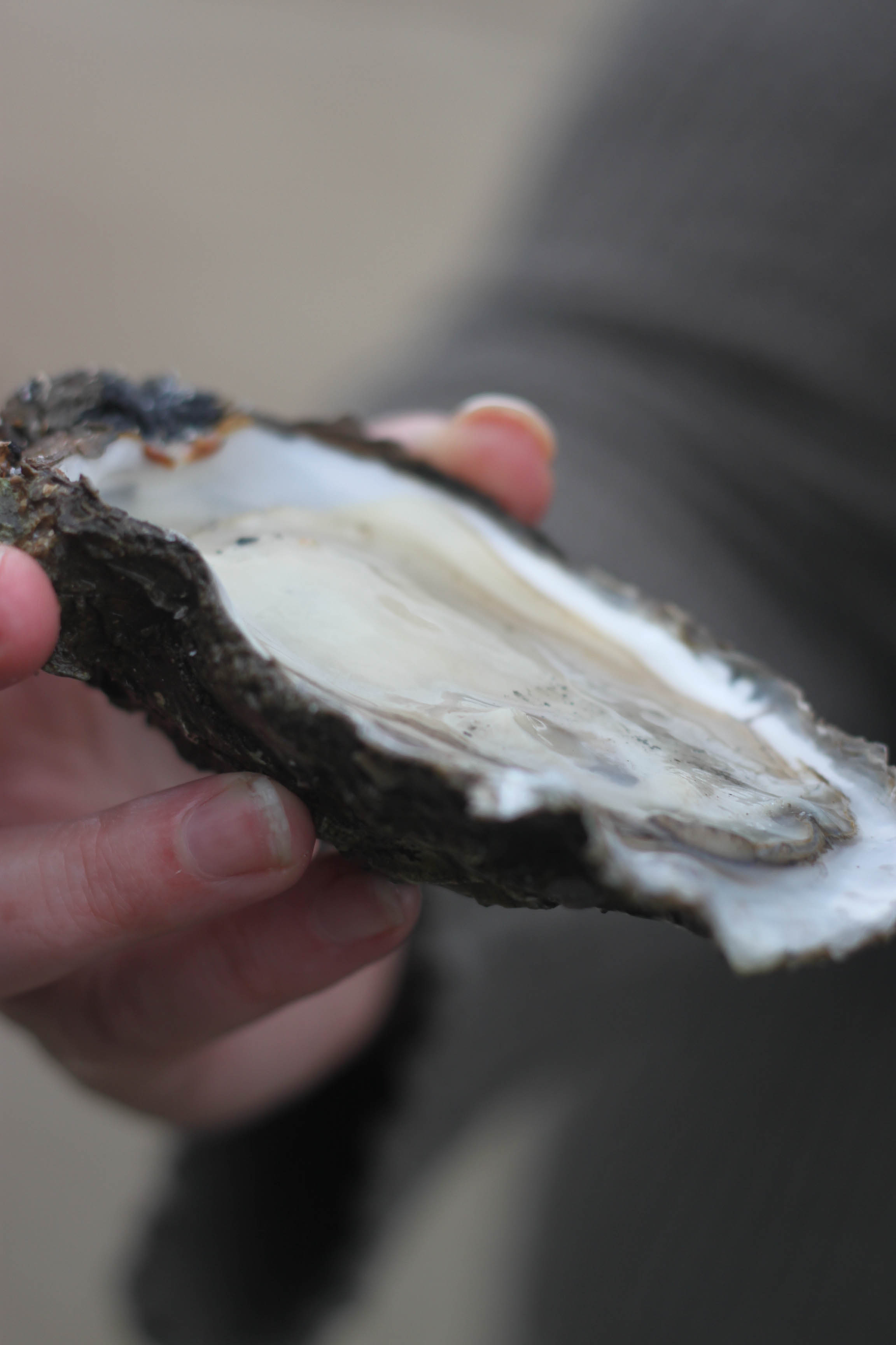 Inishfood 2012-58