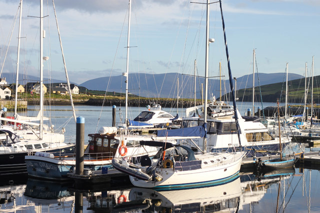 Boats-in-the-Harbour