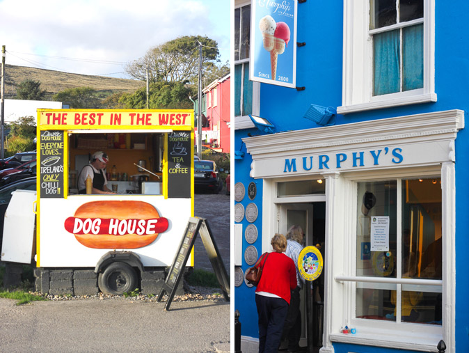 Murphys-and-Dog-House